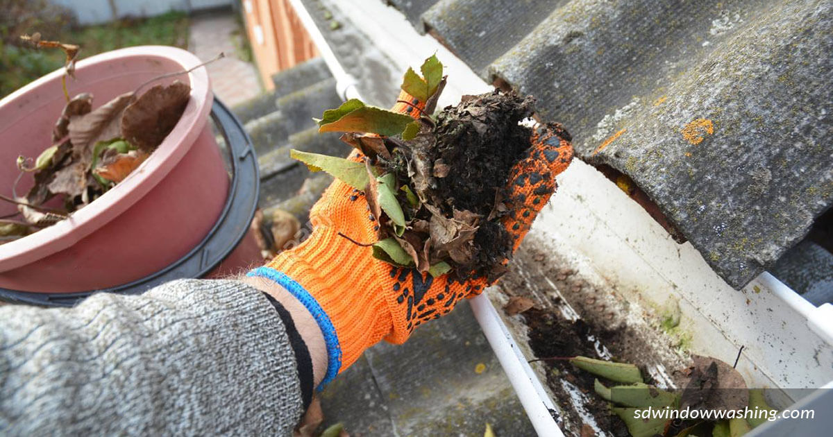 Rain Gutter Cleaning Services San Diego